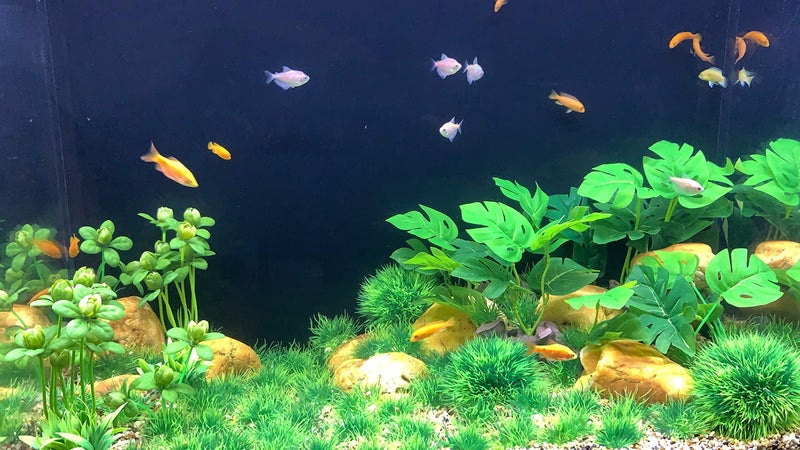 BEGONDIS Artificial Green Water Plants Flower Set 18 Pcs, Fish Tank Aquarium Decorations, Made of Soft Plastic - Image 2